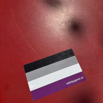 Flagge mit den Farben für ace (asexuell) als Sticker