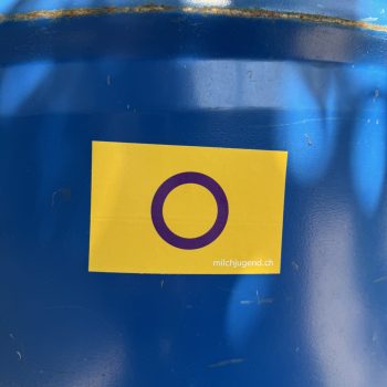 Flagge mit den intersexuellen Farben als Sticker